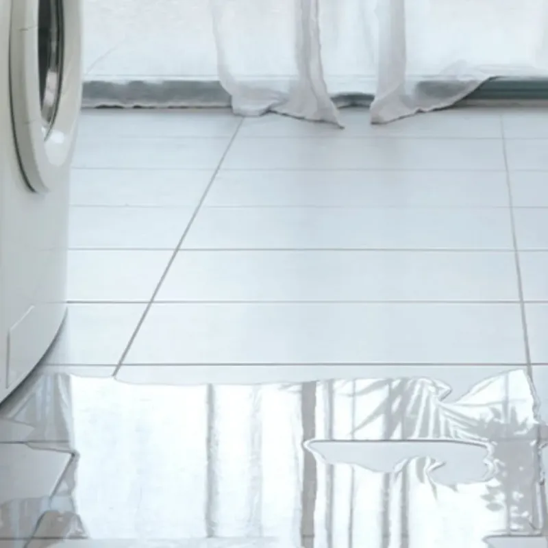 Appliance Leak Cleanup in Arvin, CA
